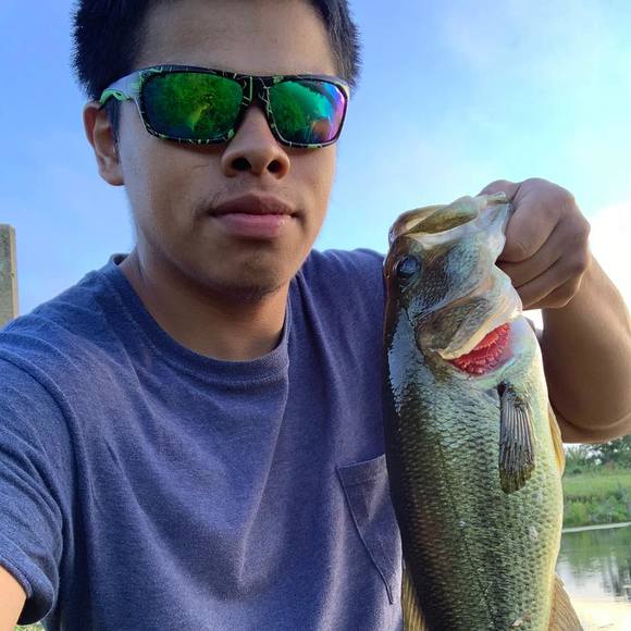 elcholo33